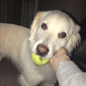 Meet your Posher, Matthew